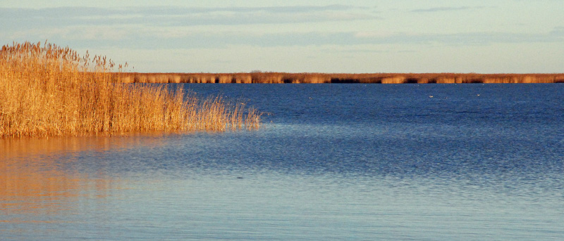 Fertő tó